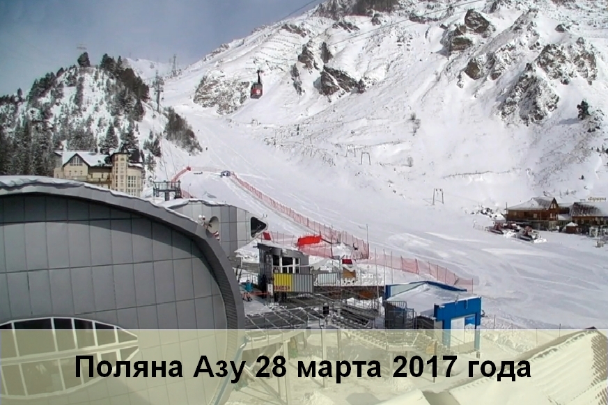 76781_1.jpg
